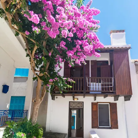 The Bougainvillea * Skopelos