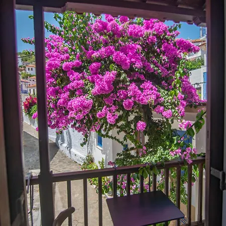 別荘 The Bougainvillea *