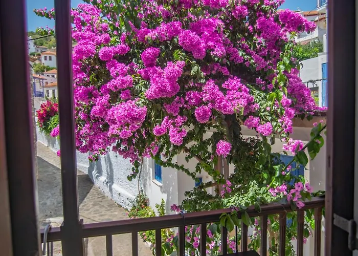 Case de vacanță The Bougainvillea *